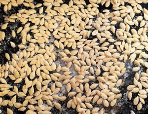 pasatembo-roasted-pumpkin-seeds-tray-web