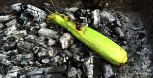 Cooking corn on the cob straight on the coals by Theo Michaels | BBQ Sweetcorn
