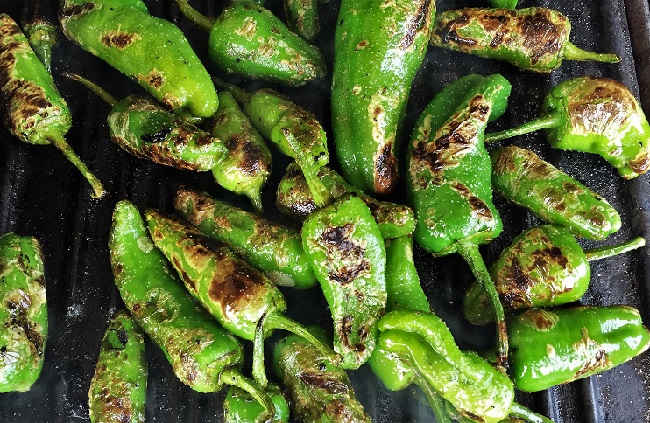 Padron Peppers – Spanish style grilled peppers (Pimientos de Padrón)