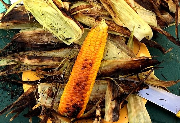 Cooking Corn on the Cob – straight on the coals!